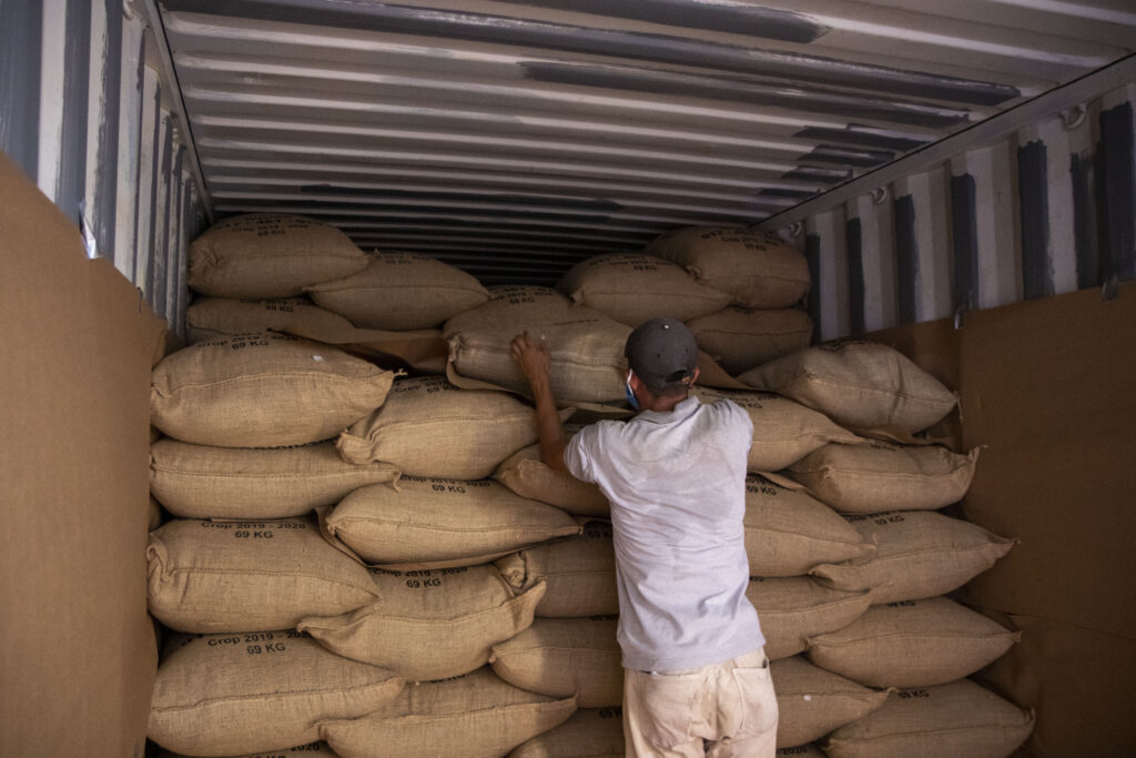 Nicaragua Regional Washed: Green