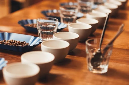 Private Cupping Experience