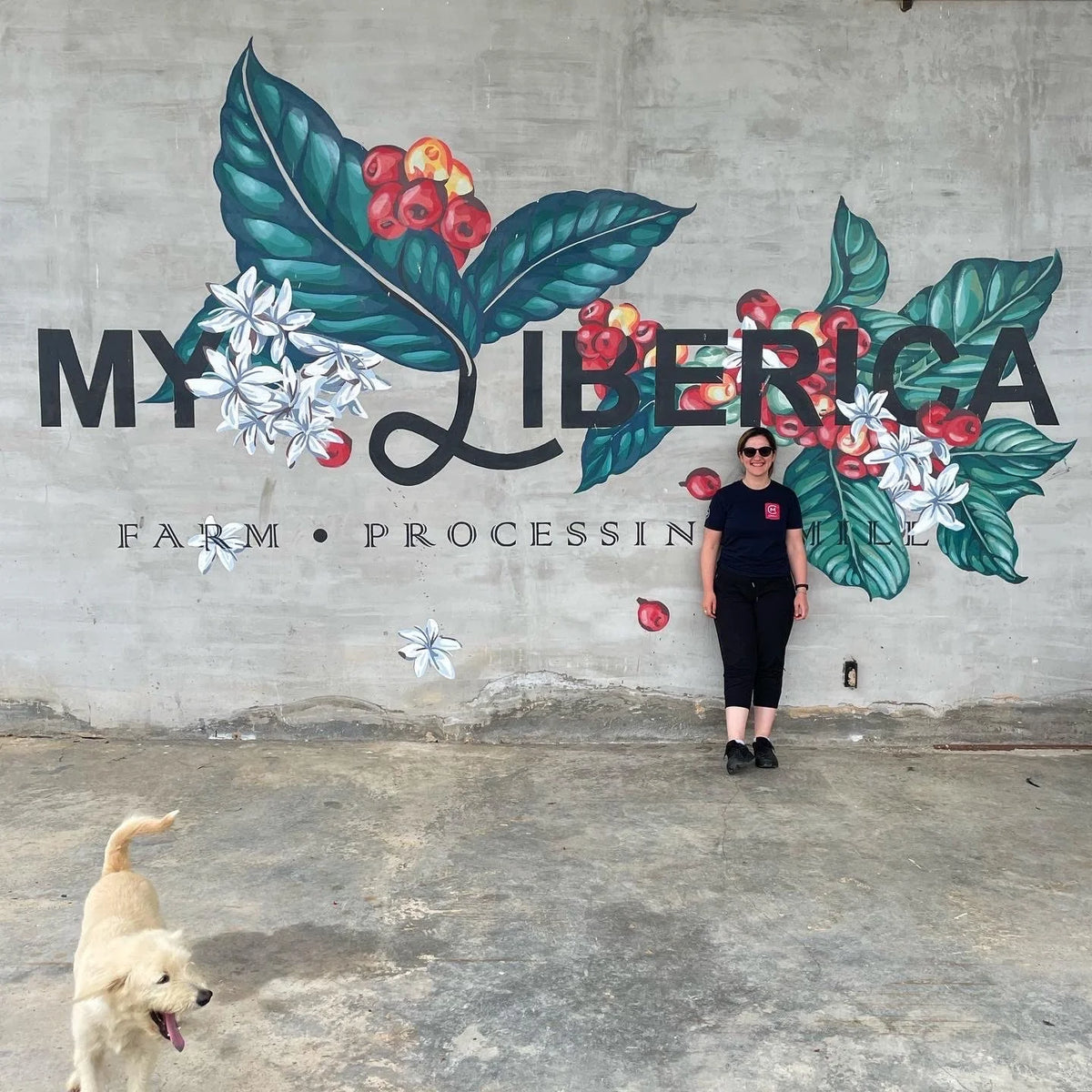 Liberica - Super Rare Single Origin (100g Whole Bean)