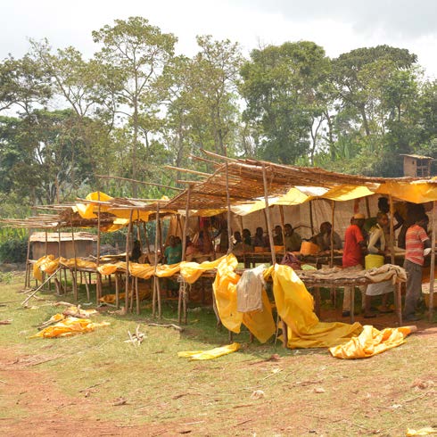 Green coffee sorting in Yirgacheffe, Ethiopia: regional supplier image, not a photograph of this exact lot.