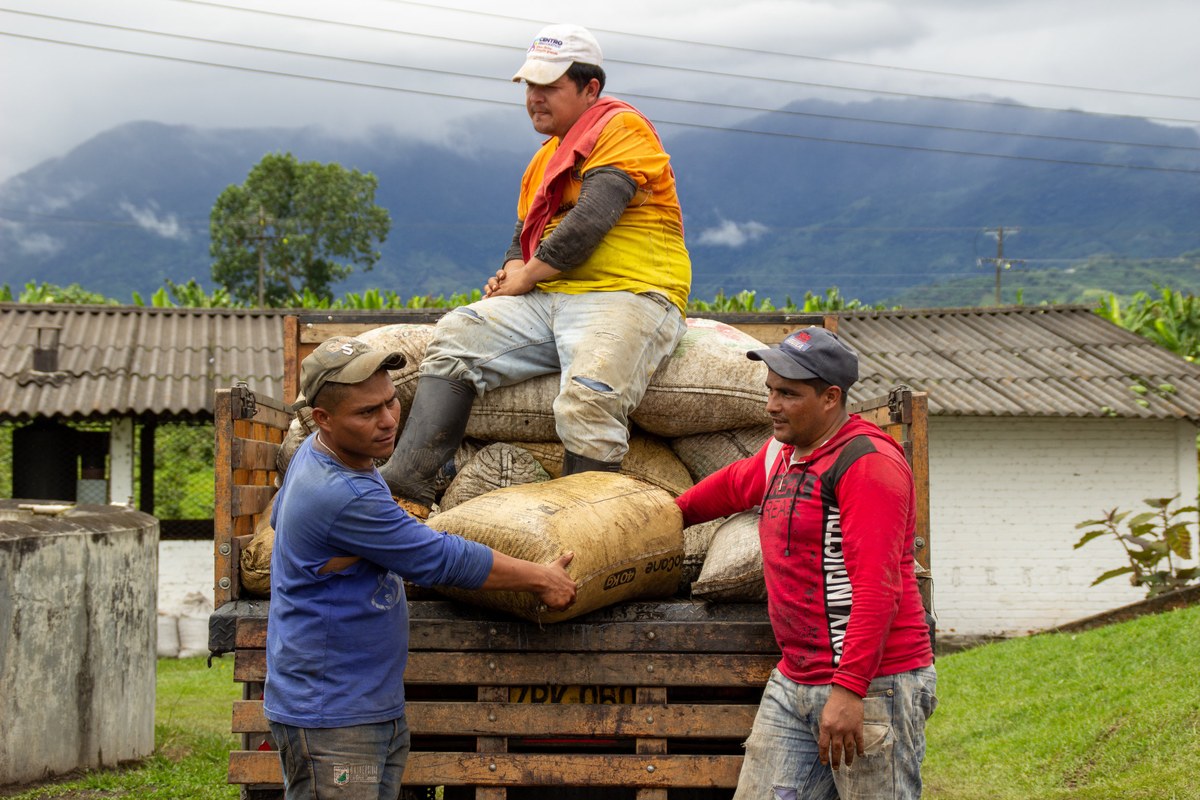 People transporting coffee sacks in Guerrilla’s Colombia Project archive